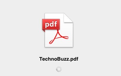 PDF File Loading