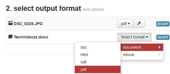 Select Format to Convert